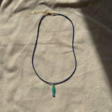 lapis strand with fish