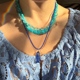 lapis strand with fish