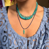 lapis strand with fish